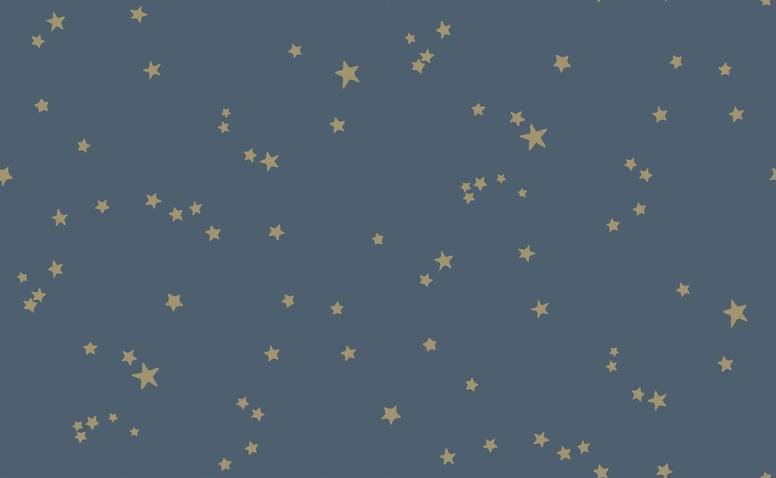 Stars Wallcovering by Cole & Son 