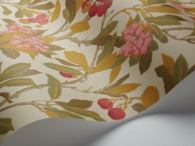 Strawberry Tree Wallcovering by Cole & Son 