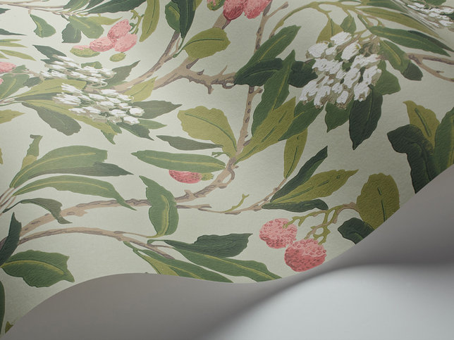 Strawberry Tree Wallcovering by Cole & Son 
