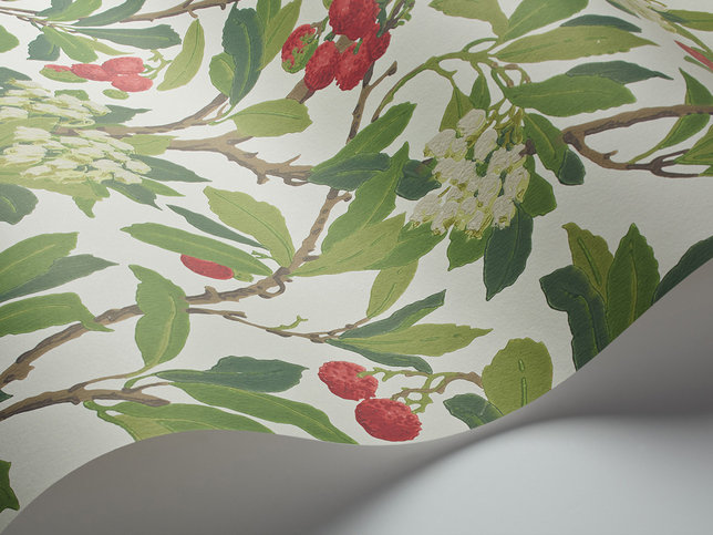 Strawberry Tree Wallcovering by Cole & Son 
