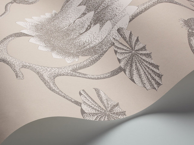 Summer Lily Wallcovering by Cole & Son 