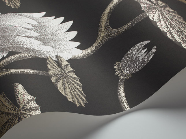 Summer Lily Wallcovering by Cole & Son 