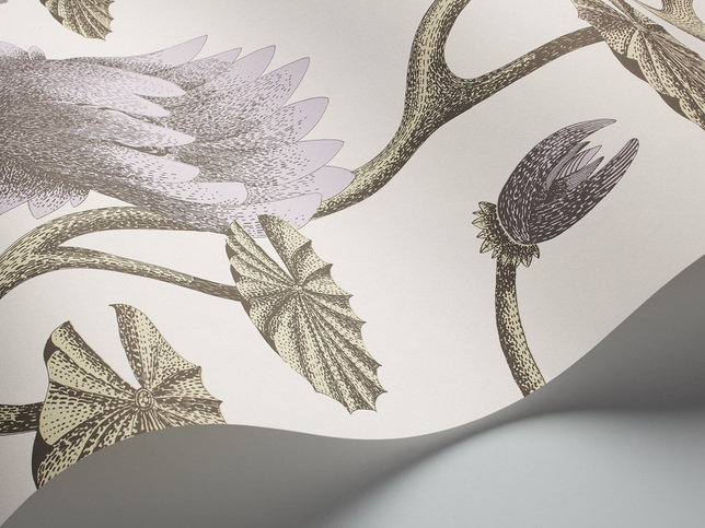 Summer Lily Wallcovering by Cole & Son 