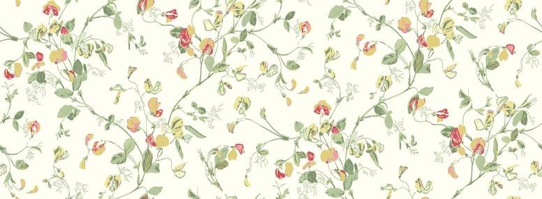 Sweet Pea Wallcovering by Cole & Son 