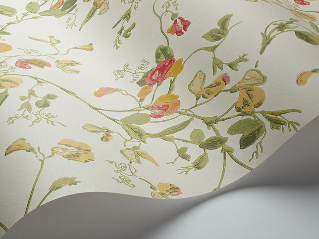 Sweet Pea Wallcovering by Cole & Son 
