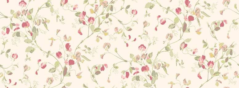 Sweet Pea Wallcovering by Cole & Son 