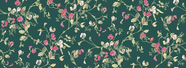 Sweet Pea Wallcovering by Cole & Son 