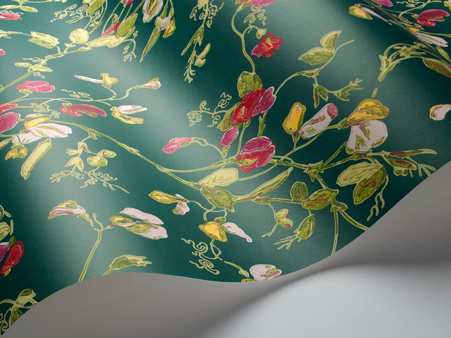 Sweet Pea Wallcovering by Cole & Son 