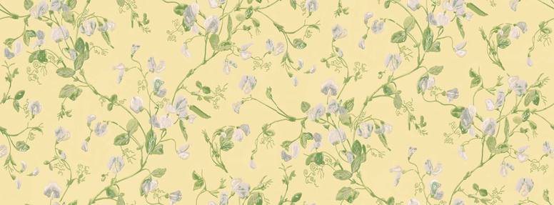 Sweet Pea Wallcovering by Cole & Son 