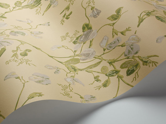 Sweet Pea Wallcovering by Cole & Son 