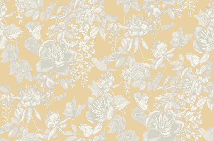 Tivoli Wallcovering by Cole & Son 