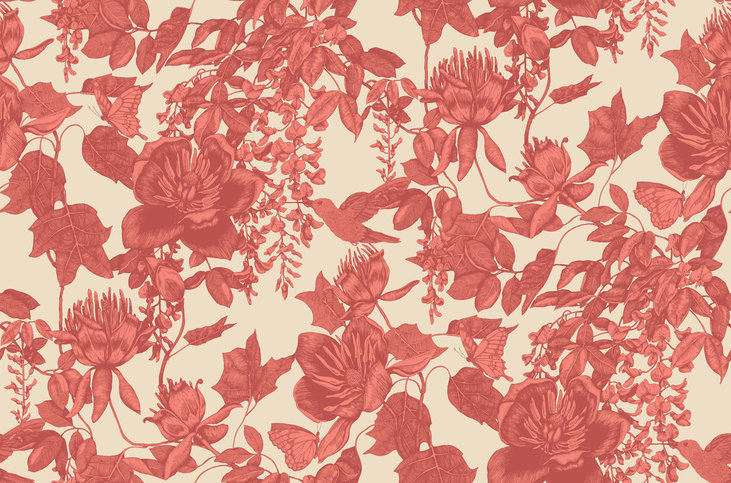 Tivoli Wallcovering by Cole & Son 
