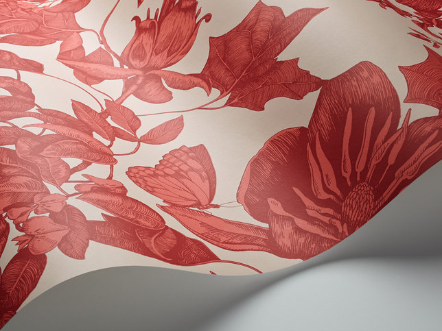 Tivoli Wallcovering by Cole & Son 