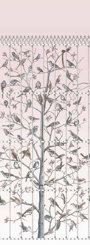 Uccelli Wallcovering by Cole & Son 