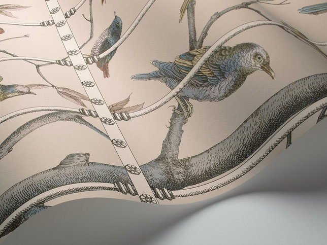 Uccelli Wallcovering by Cole & Son 