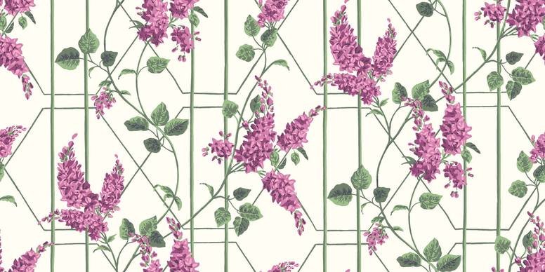 Wisteria Wallcovering by Cole & Son 