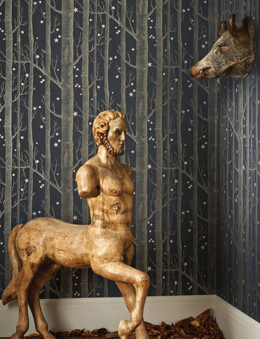 Woods & Stars Wallcovering by Cole & Son 