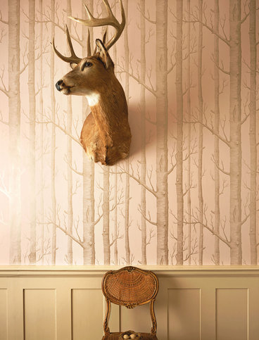 Woods Whimsical Wallcovering by Cole & Son 