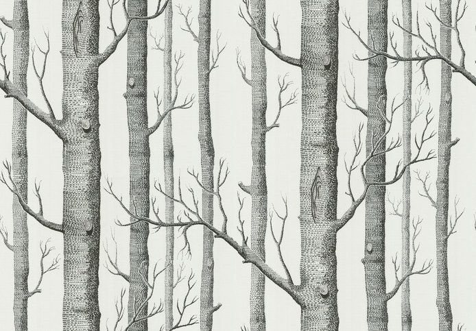Woods Wallcovering by Cole & Son 