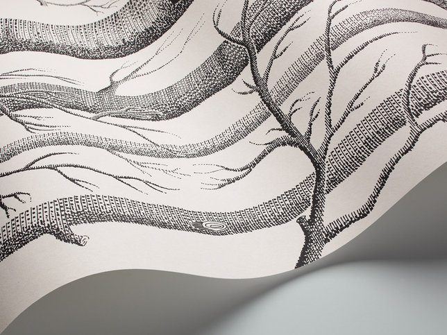 Woods Wallcovering by Cole & Son 