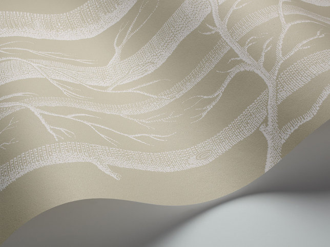 Woods Wallcovering by Cole & Son 