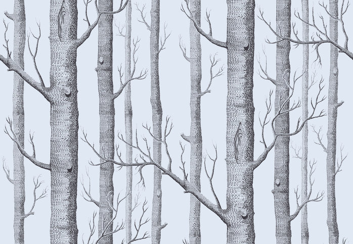 Woods Wallcovering by Cole & Son 