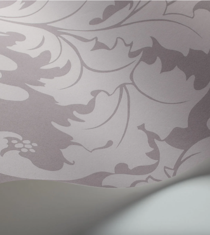 Fonteyn Mink Wallcovering by Cole & Son 