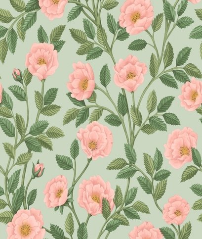 Hampton Roses Wallcovering by Cole & Son 