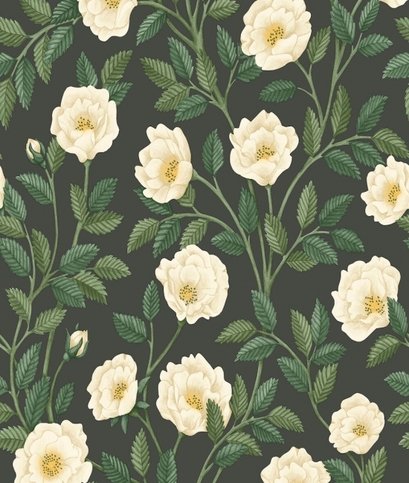 Hampton Roses Wallcovering by Cole & Son 