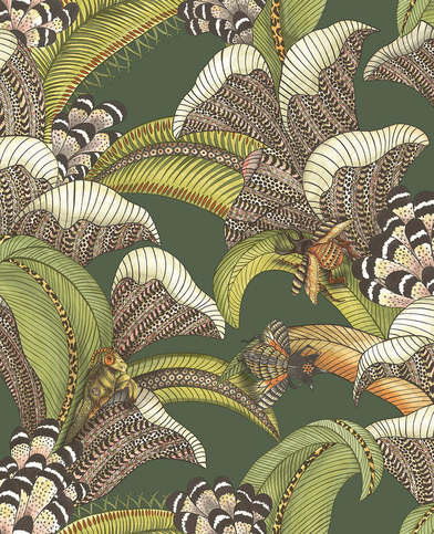 Hoopoe Leaves Wallcovering by Cole & Son 
