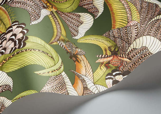 Hoopoe Leaves Wallcovering by Cole & Son 
