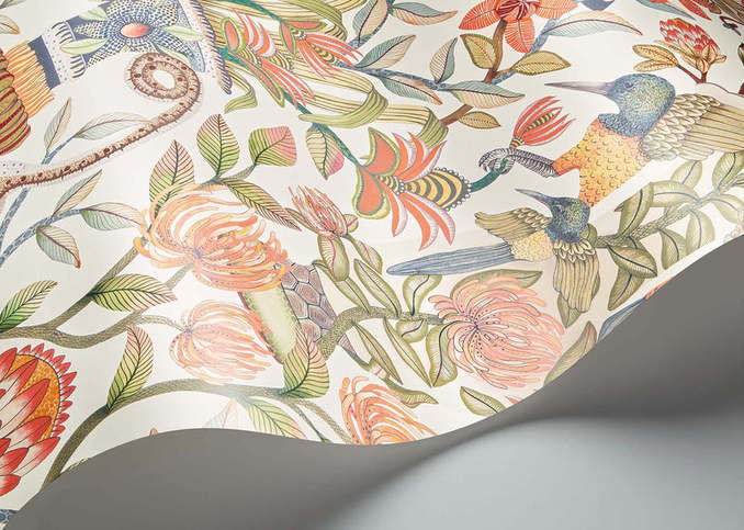 Protea Garden Wallcovering by Cole & Son 
