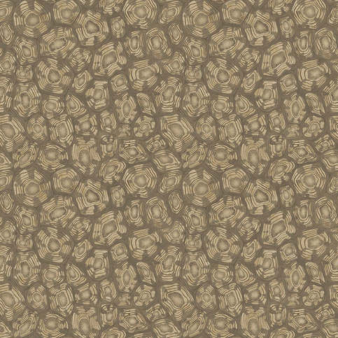 Savanna Shell Wallcovering by Cole & Son 
