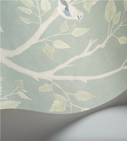 Seasonal Woods Sage Wallcovering by Cole & Son 