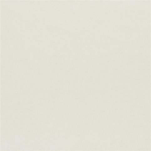 Aquarelle  Ecru Fabric by Designers Guild 