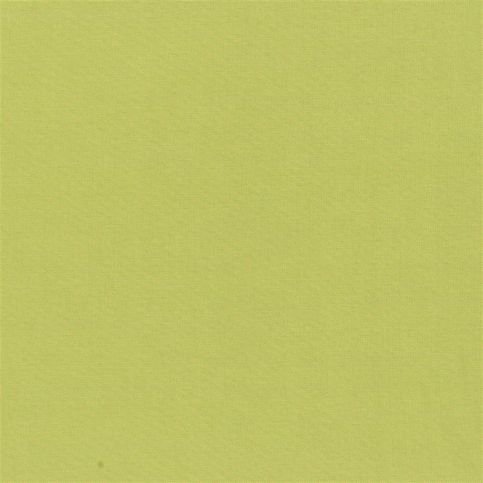 Aquarelle Moss Fabric by Designers Guild 