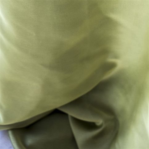 Aquarelle Moss Fabric by Designers Guild 