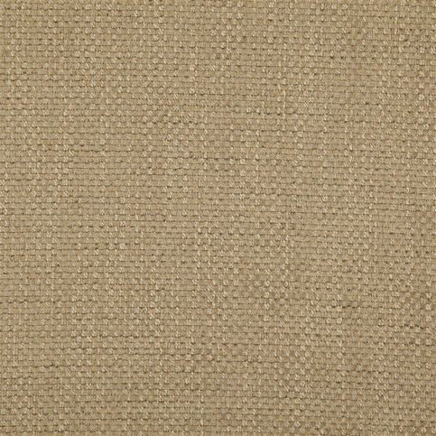Birkett Hazel Fabric by Designers Guild 