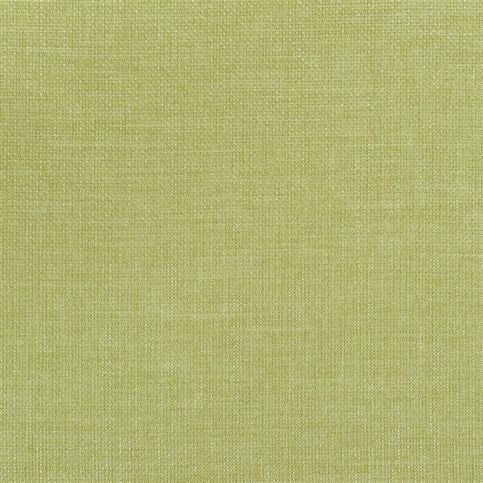 Brienno Grass Fabric by Designers Guild 