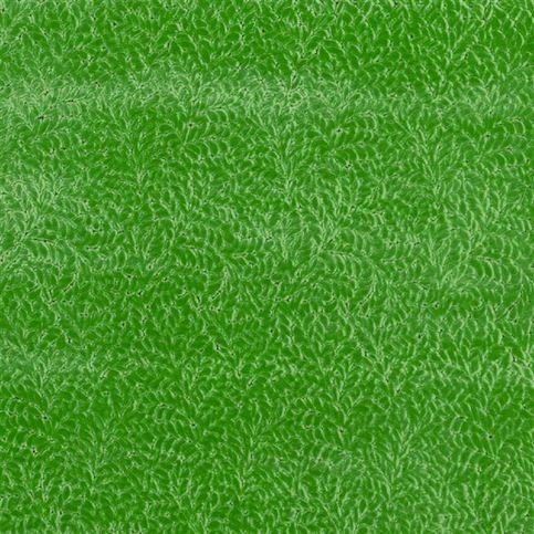 Cartouche Malachite Fabric by Designers Guild 