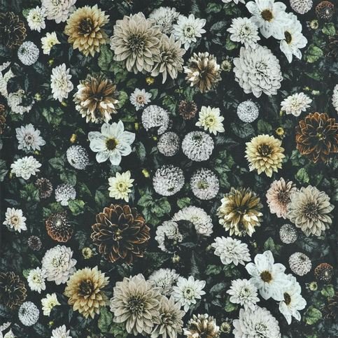 Dahlia Noir Slate Fabric by Designers Guild 