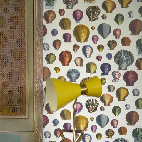 Captain Thomas Browns Shells Sepia Wallcovering by Designers Guild 