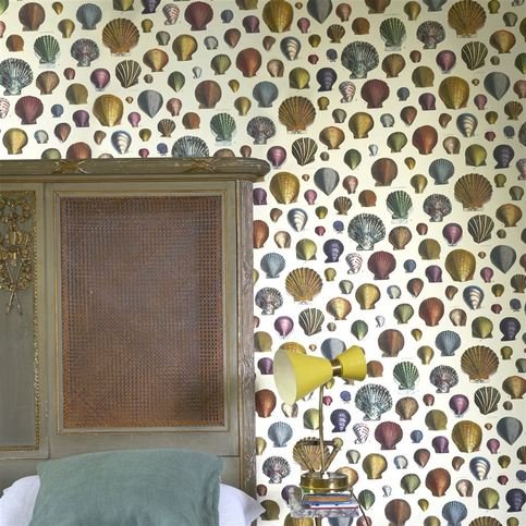 Captain Thomas Browns Shells Sepia Wallcovering by Designers Guild 