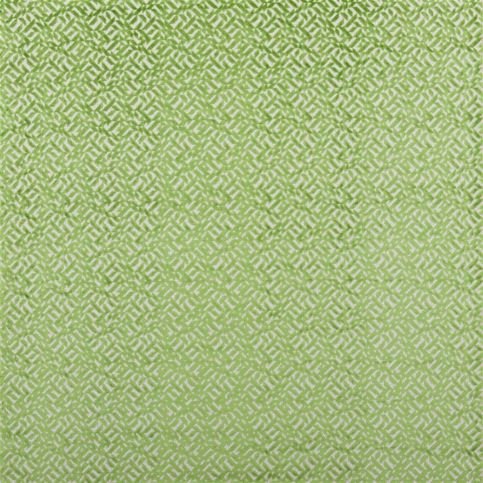 Dufrene Grass Fabric by Designers Guild 