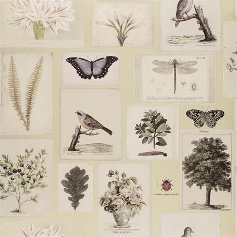 Flora And Fauna Canvas Wallcovering by Designers Guild 