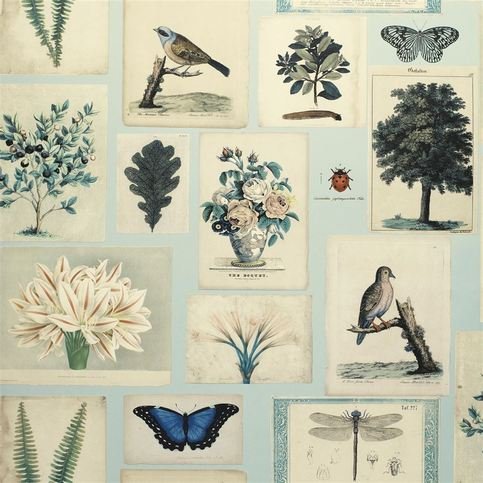 Flora And Fauna Cloud Blue Wallcovering by Designers Guild