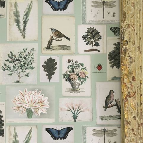 Flora And Fauna Cloud Blue Wallcovering by Designers Guild