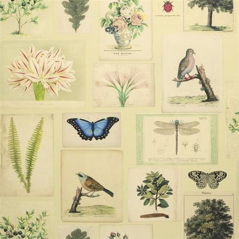 Flora And Fauna Parchment Wallcovering by Designers Guild
