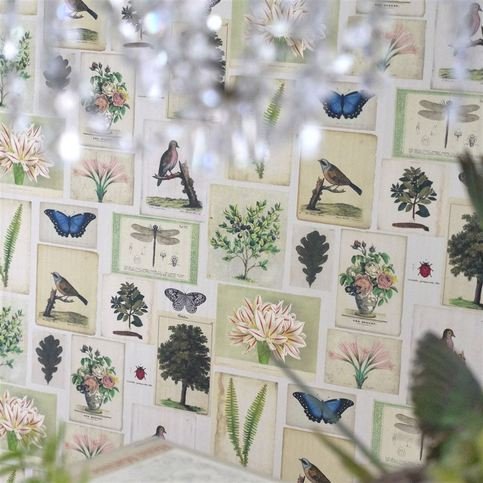Flora And Fauna Parchment Wallcovering by Designers Guild