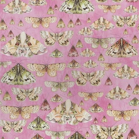 Issoria Rose Wallpaper by Designers Guild 